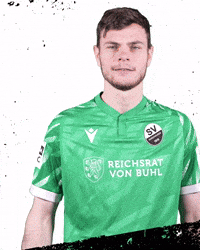 3Liga Wirechtanders GIF by SV Sandhausen