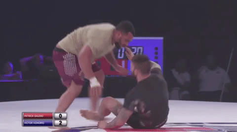 GIF by flograppling