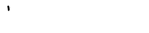 The 1975 Animation Sticker