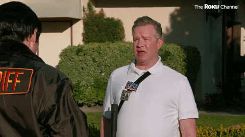 Reno 911 GIF by The Roku Channel