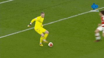 Celebration Reaction GIF by MolaTV