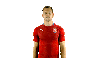 Czech Republic Ceskarepre Sticker by 2score