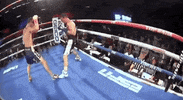 toprank fight boxing fighting champion GIF