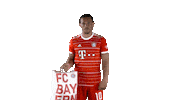 Leroy Sane Football Sticker by FC Bayern Munich