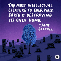 Climate Change Environment GIF by INTO ACTION