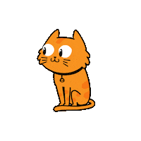 BBKGROUP gato seguros zenit zenitseguros Sticker