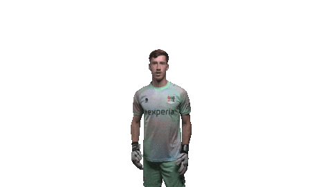 Robin Nec Sticker by necnijmegen