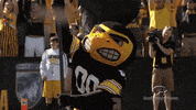 hawkeye football GIF by University of Iowa Hawkeyes Athletics