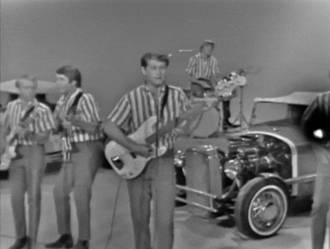 The Beach Boys GIF