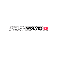 Colamwolves Sticker by Colam Institutional Communications