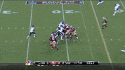 Chicago Bears Touchdown GIF by hero0fwar