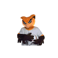 Ncaa Mascot Sticker by Rowan University