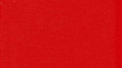 Con Mucho Acento GIF by Cruzcampo