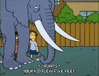 homer simpson elephant GIF