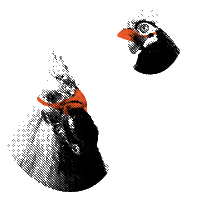 Bird Sticker by Fields Good Chicken