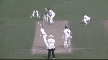 Catch Diving GIF by Leicestershire Country Cricket Club