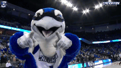 Bluejays GIF by Creighton University Athletics