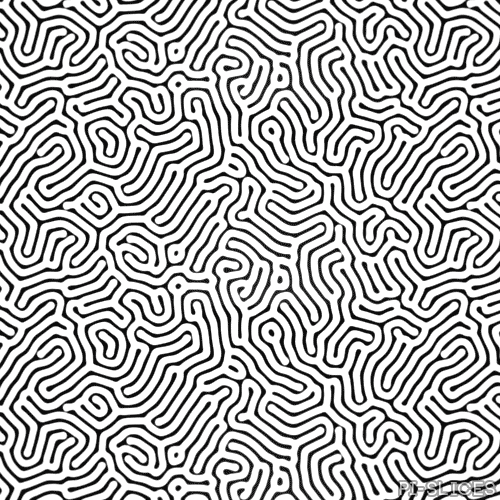Black And White Art GIF by Pi-Slices