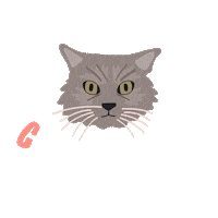 irisacosmeticsmakeup cat crueltyfree irisacosmetics irisacosmeticsmakeup Sticker