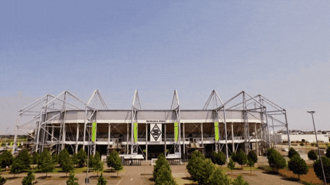 germany football GIF