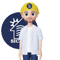 sicasasociales importante sicasa Sticker