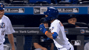 Celebrate Ny Mets GIF by New York Mets