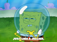 season 8 GIF by SpongeBob SquarePants