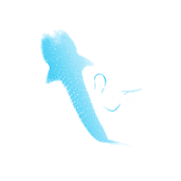 Water Ocean Sticker by Dive Butler International
