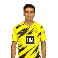 Football Yes Sticker by Bundesliga