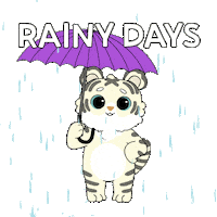 Bitcoin Rain Sticker by Ordinary Frends