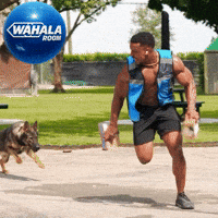 German Running GIF by Wahala Room