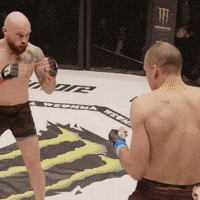 Mixed Martial Arts Fighting GIF by We love MMA