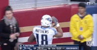Tennessee Titans Football GIF by NFL