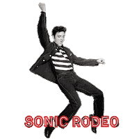 Las Vegas Elvis Sticker by Lacey Flynn