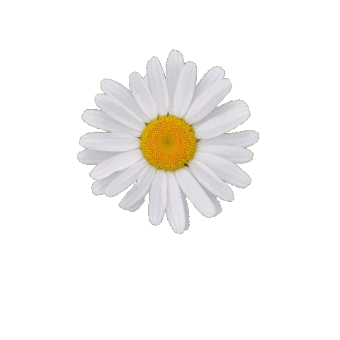 Sticker by Design4 web solutions