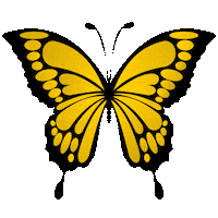 Yellow Butterfly Sticker by Bel Diniz