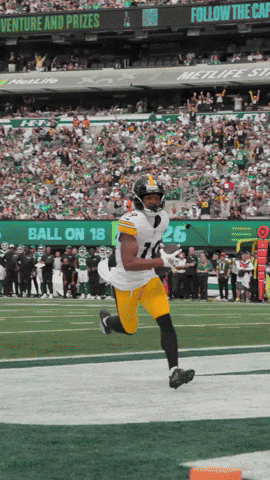 Excited Celebration GIF by Pittsburgh Steelers