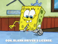 season 6 GIF by SpongeBob SquarePants