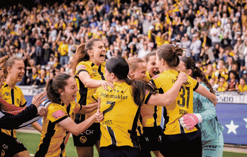 Bscyb GIF by BSC Young Boys