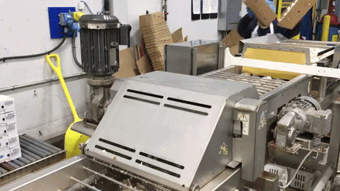 cbc leamington GIF