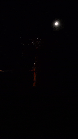 Simongip giphyupload GIF