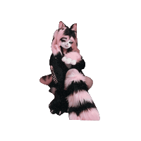 Cat Meow Sticker