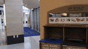 Save The Earth College GIF by University of Wisconsin-Stout