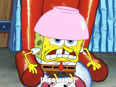 season 4 GIF by SpongeBob SquarePants
