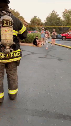 Firefighters Rescue Cats From Colorado Apartment Fire