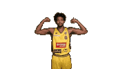 Basketball Biceps Sticker by Trefl Sopot