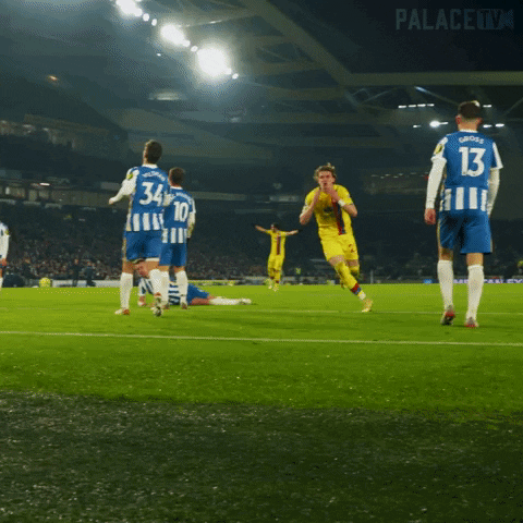 Premier League Football GIF by CPFC