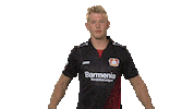 football hear Sticker by Bundesliga