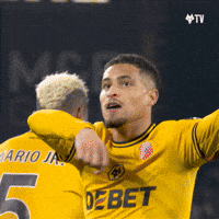 Happy Premier League GIF by Wolves