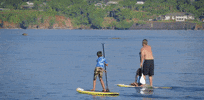 hawaii GIF